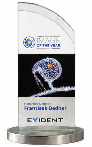 Evident Award Badge